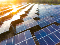 Rows of solar panels in a large outdoor solar farm, angled toward bright sunlight with lens flare, surrounded by greenery.